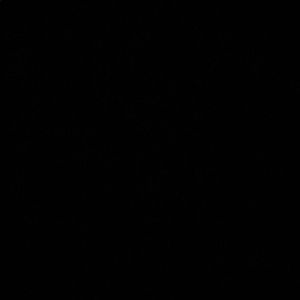 Meet your Posher, Adnan